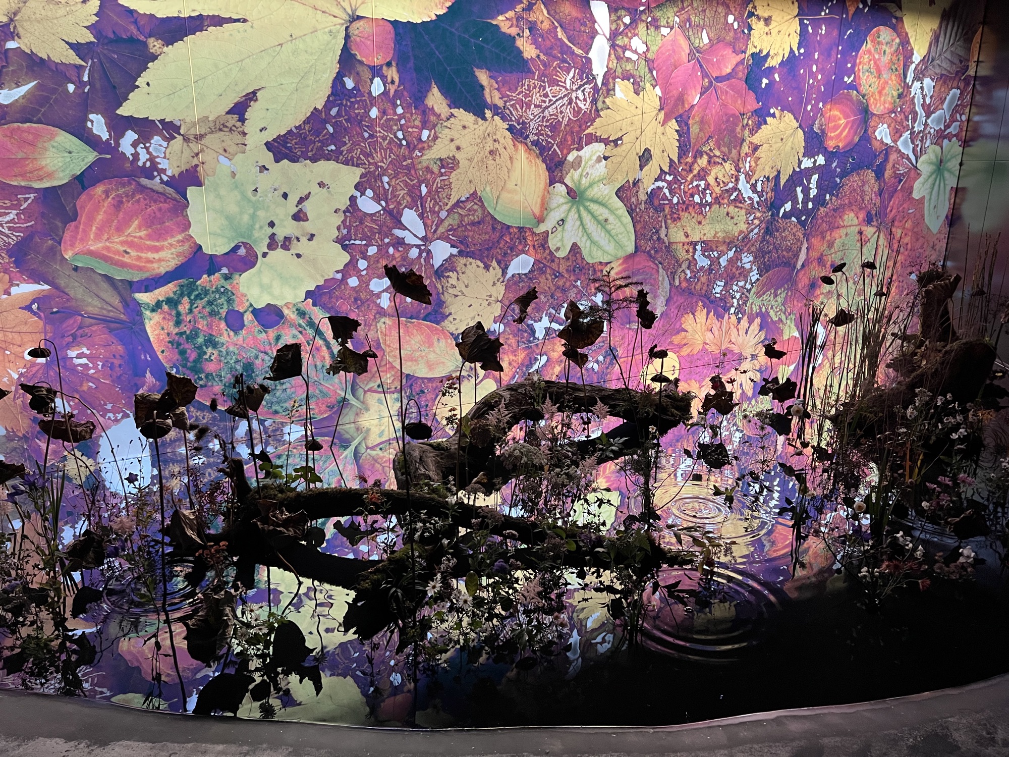 "LIGHT OF FLOWERS 花と光”２