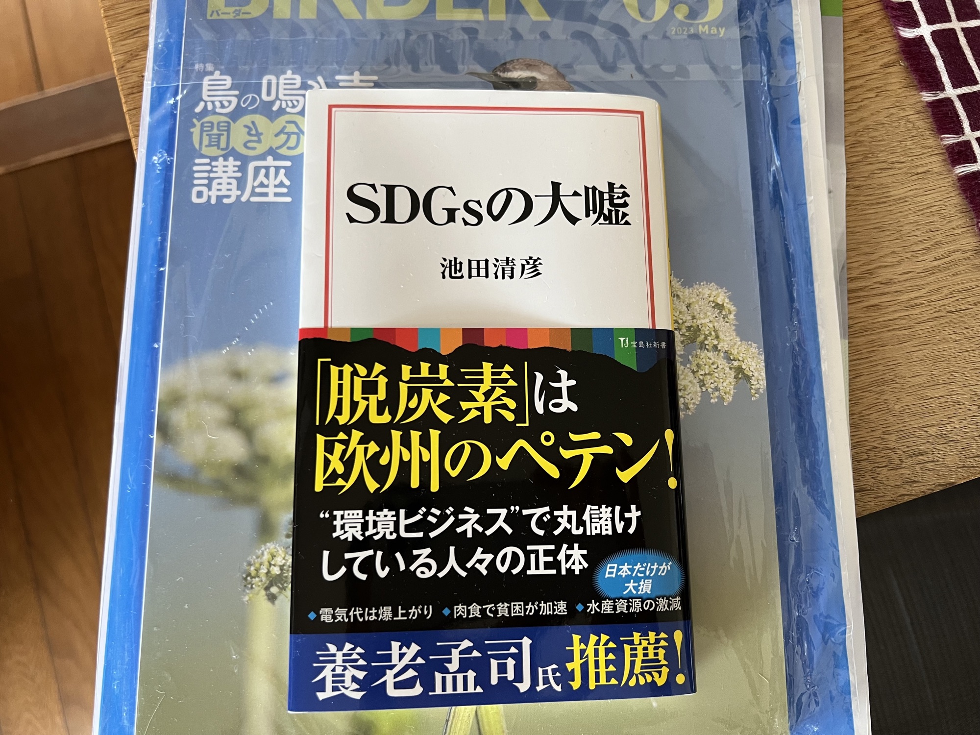 「SDGsの大嘘」