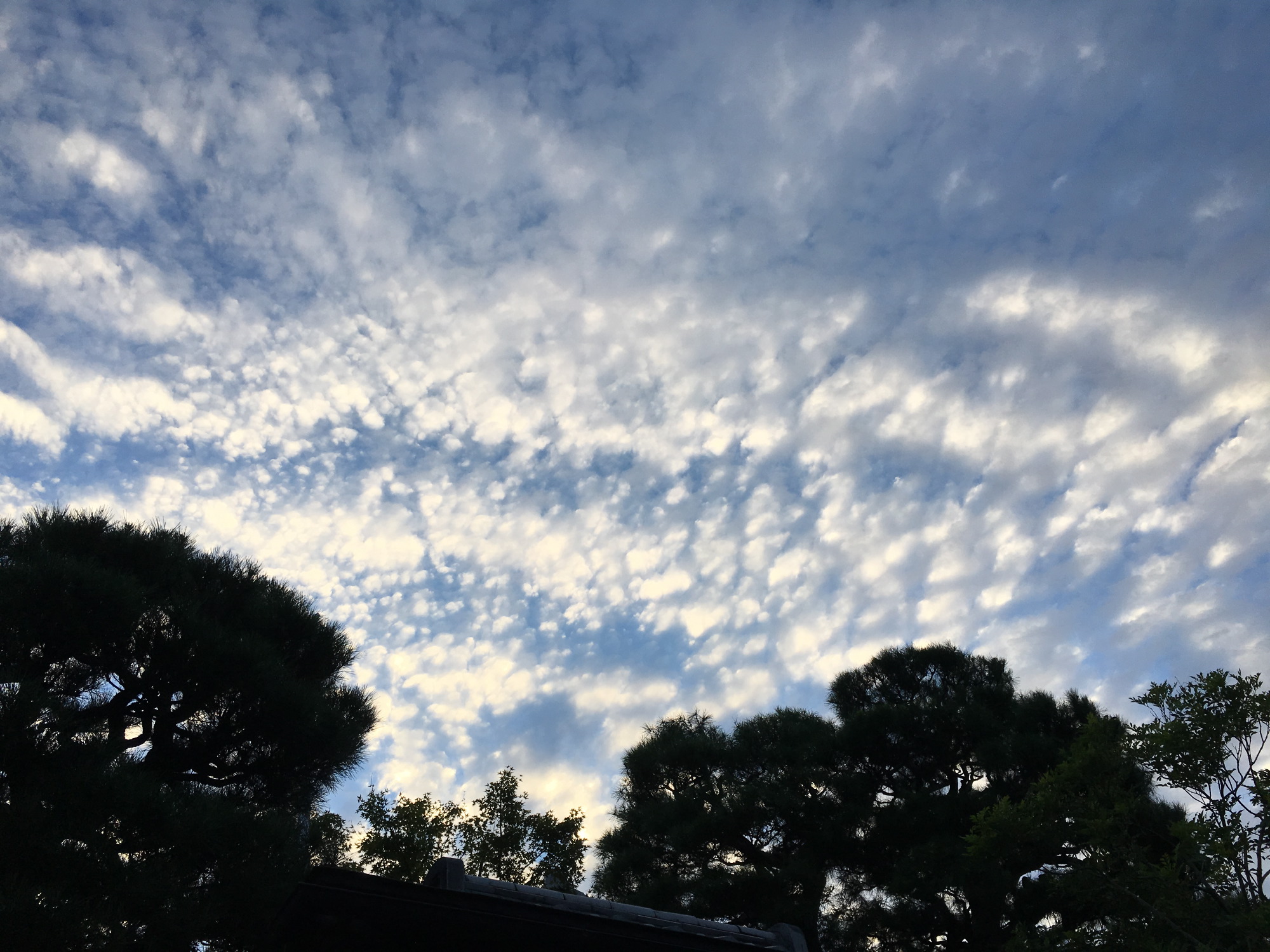 秋の空５
