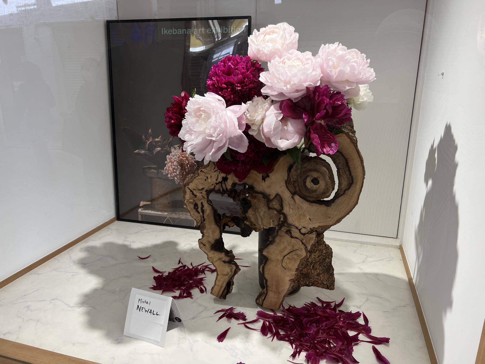 つどふ１