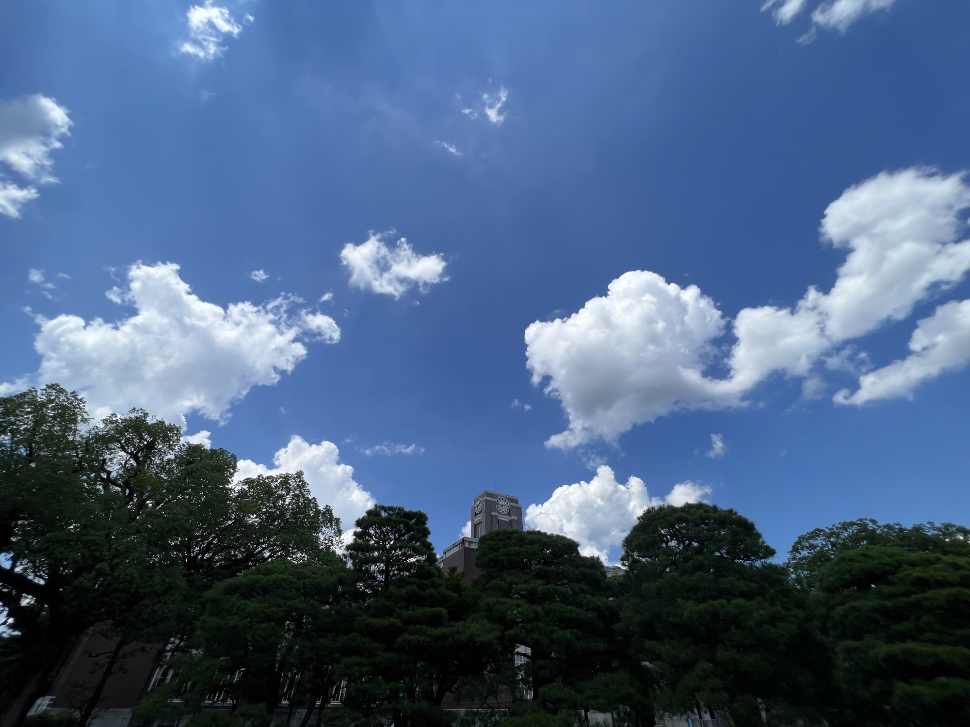 京都の夏