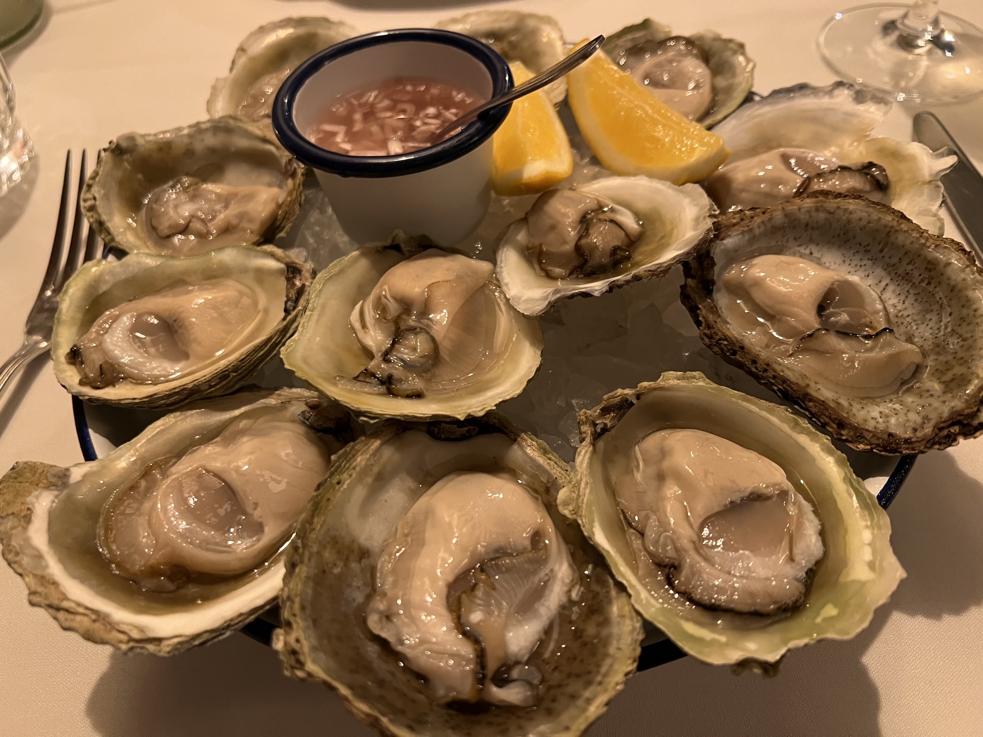 Bluff Oyster