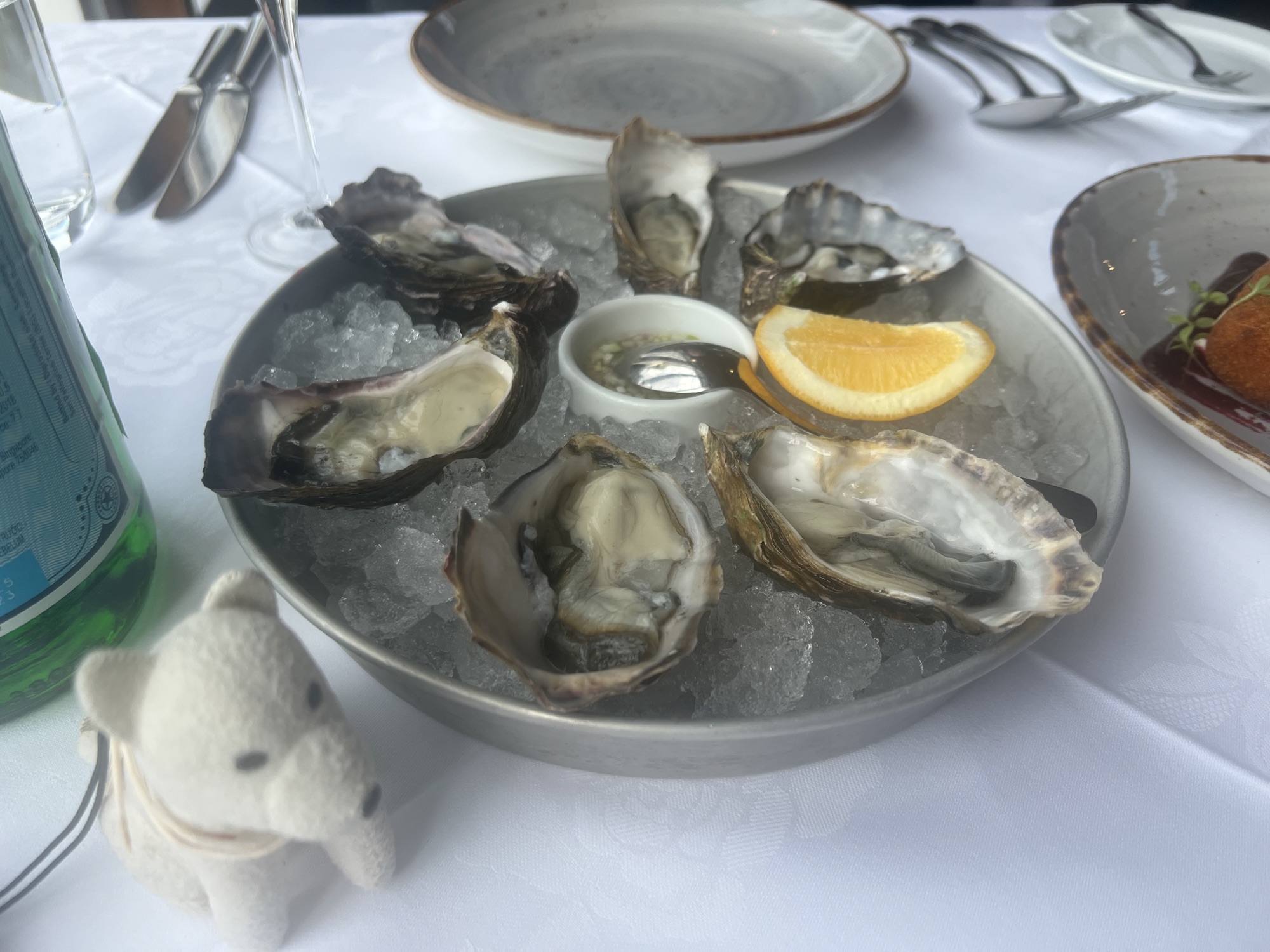 Te Matuku Oysters