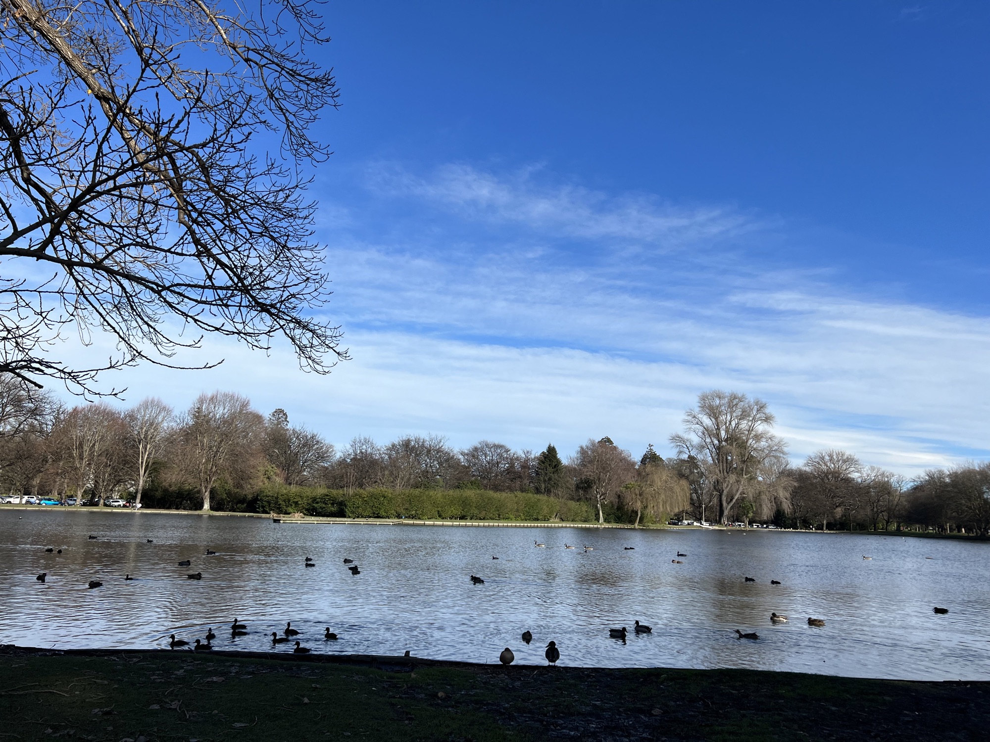 Hagley Park2