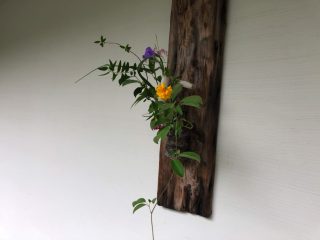 掛花