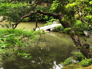 庭１