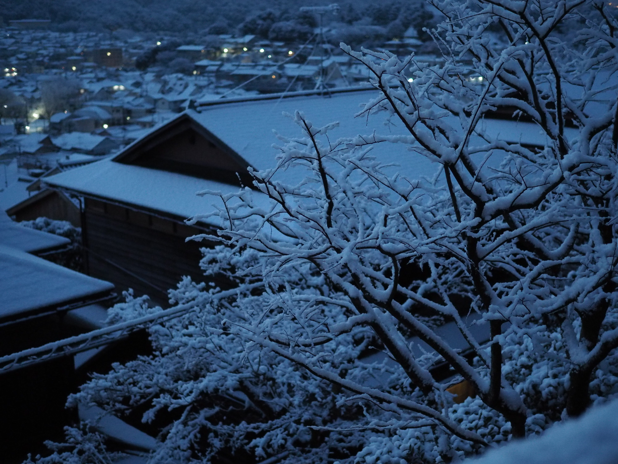 雪景色