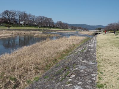 賀茂川