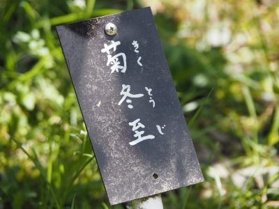 名札＠植物園