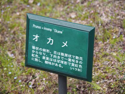 説明板＠植物園