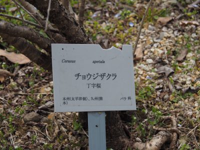 名札＠植物園