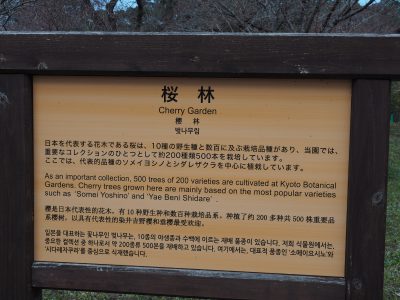 説明板＠植物園