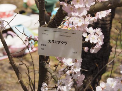 名札＠植物園