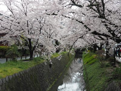 哲学の道