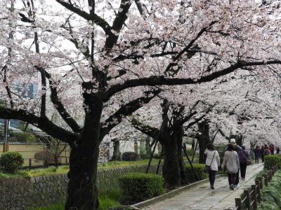 哲学の道