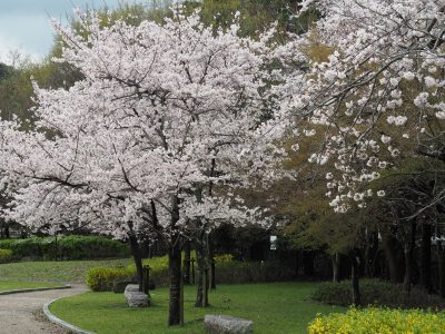 宝ヶ池公園