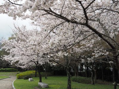 宝ヶ池公園