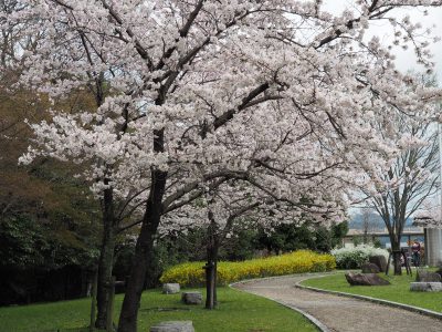 宝ヶ池公園