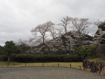 国際会館庭園