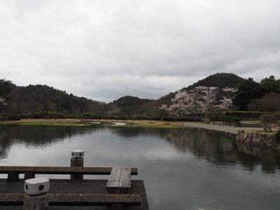 国際会館庭園