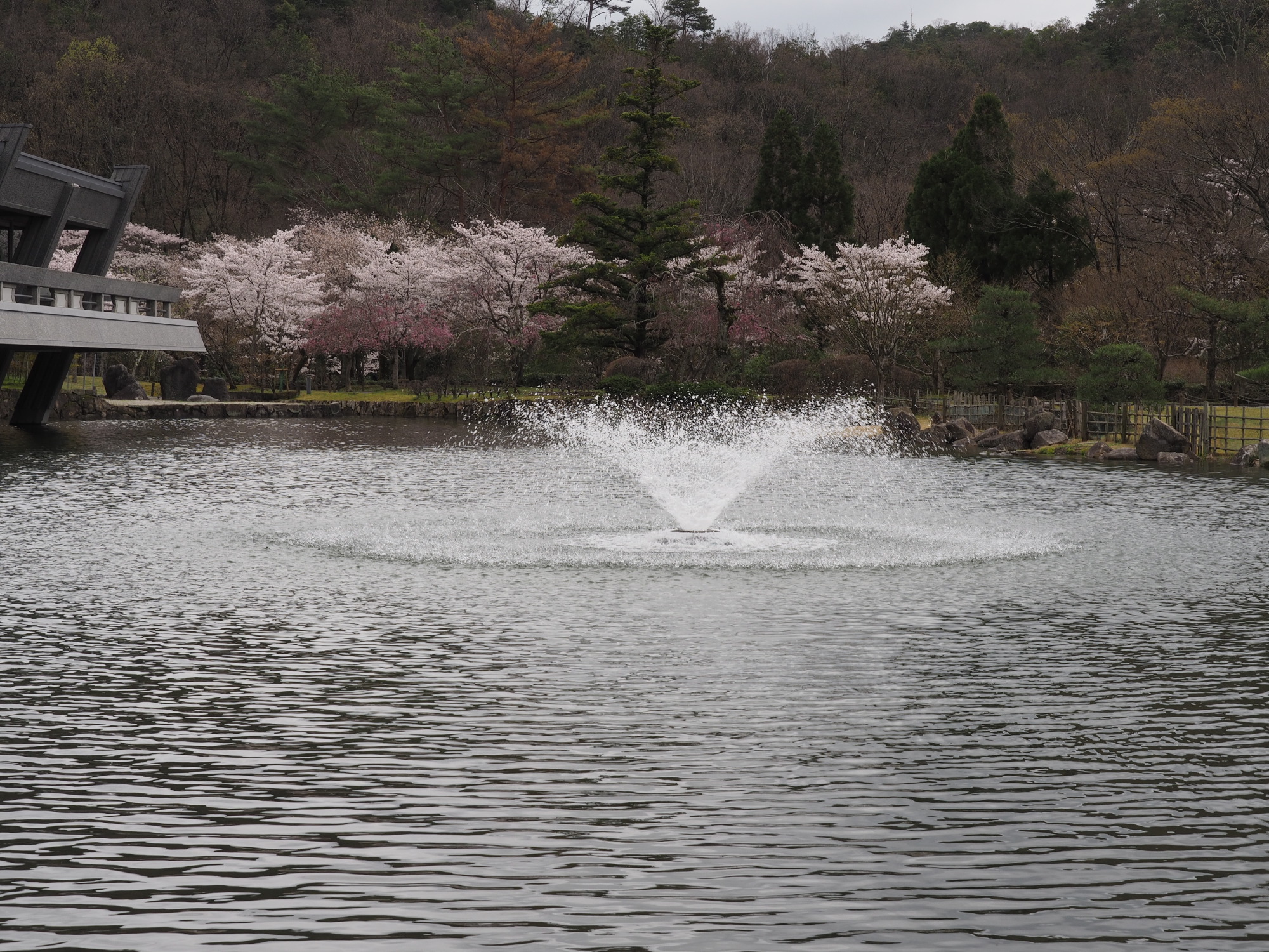 国際会館庭園