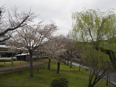 宝ヶ池公園