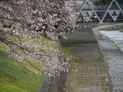高野川
