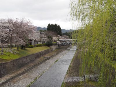 高野川