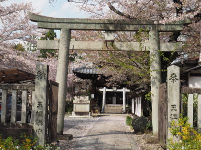 吒枳尼天（法伝寺）