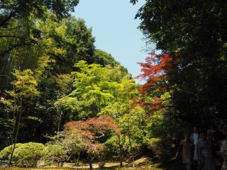 神勝寺