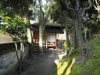 湊のやど