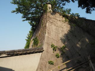 尾道