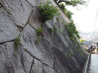尾道