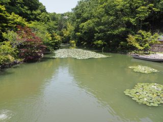 神勝寺／賞心庭