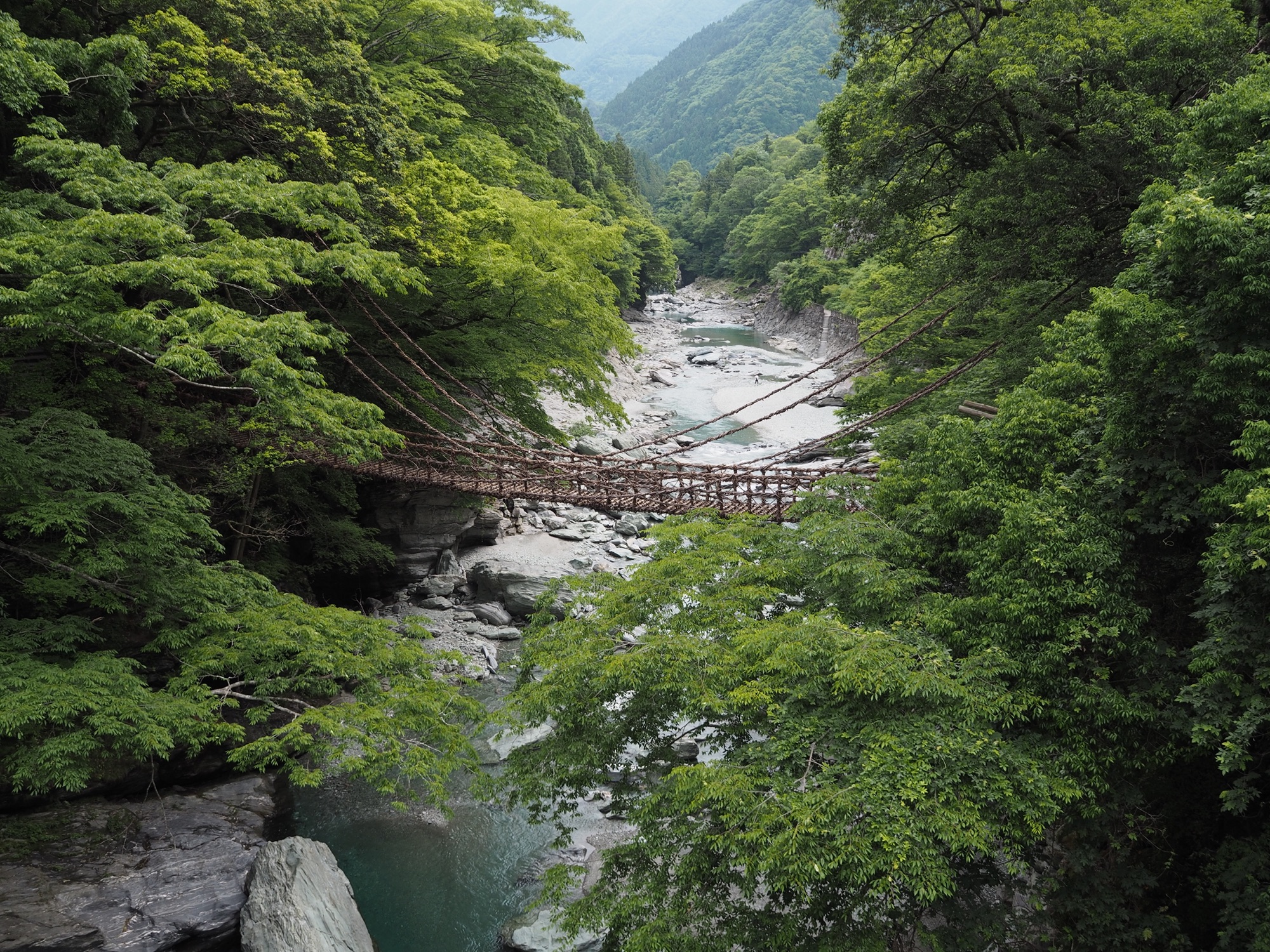 祖谷のかずら橋