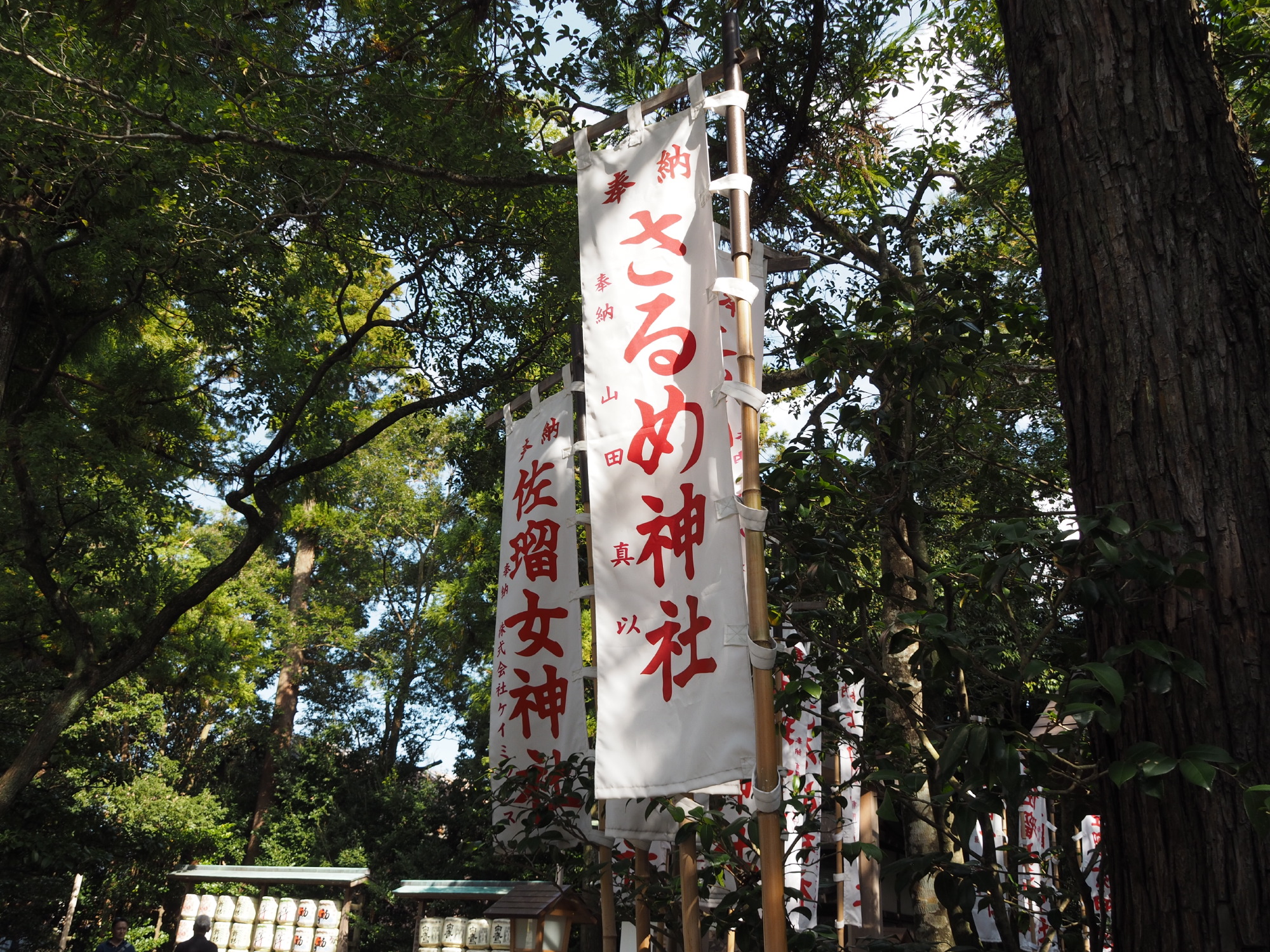 佐瑠女神社