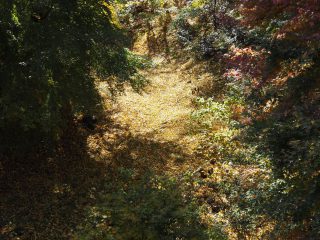 懐古園2_14