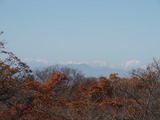 懐古園2_10