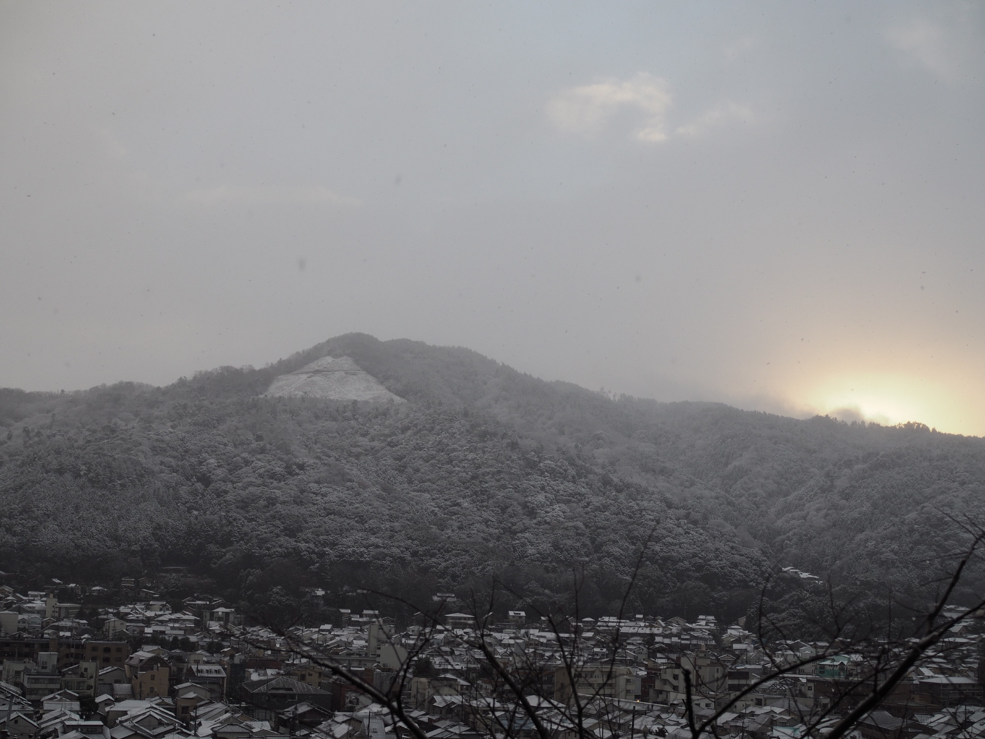 初雪