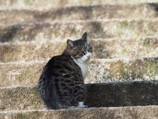 2016年1月10日