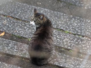 2019年2月7