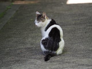 2015年5月14日