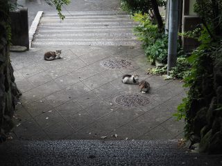 2017年7月13日