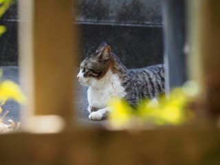 2014年3月24日