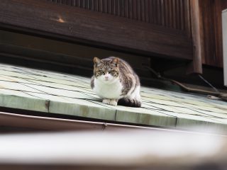 2017年3月14日