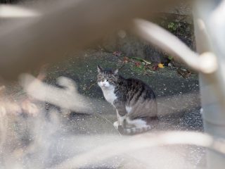 2020年2月2日