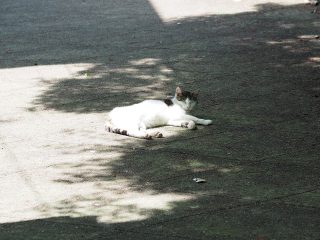 2015年5月1日