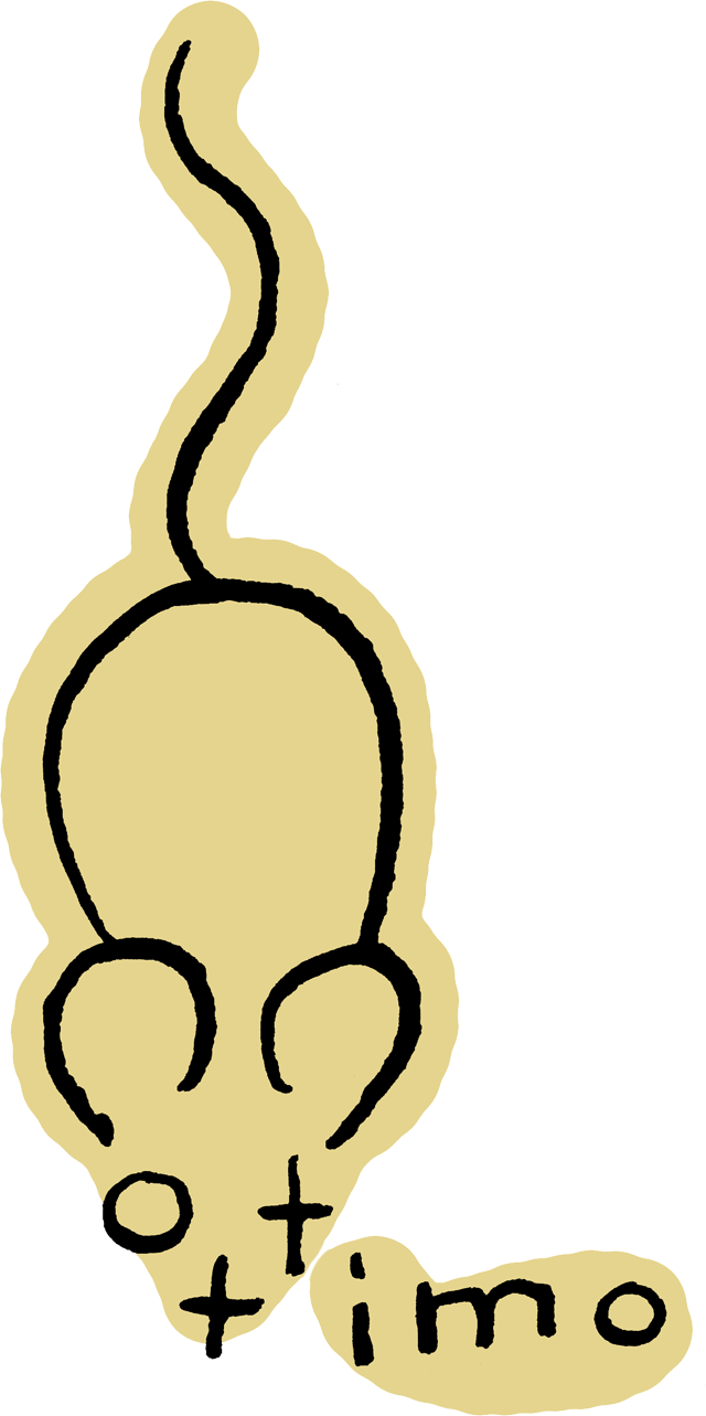 Ottimo, Inc.